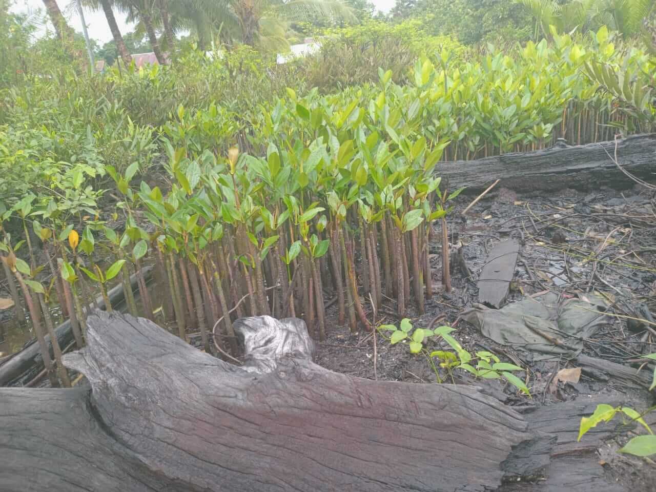 Dokumentasi kegiatan 26