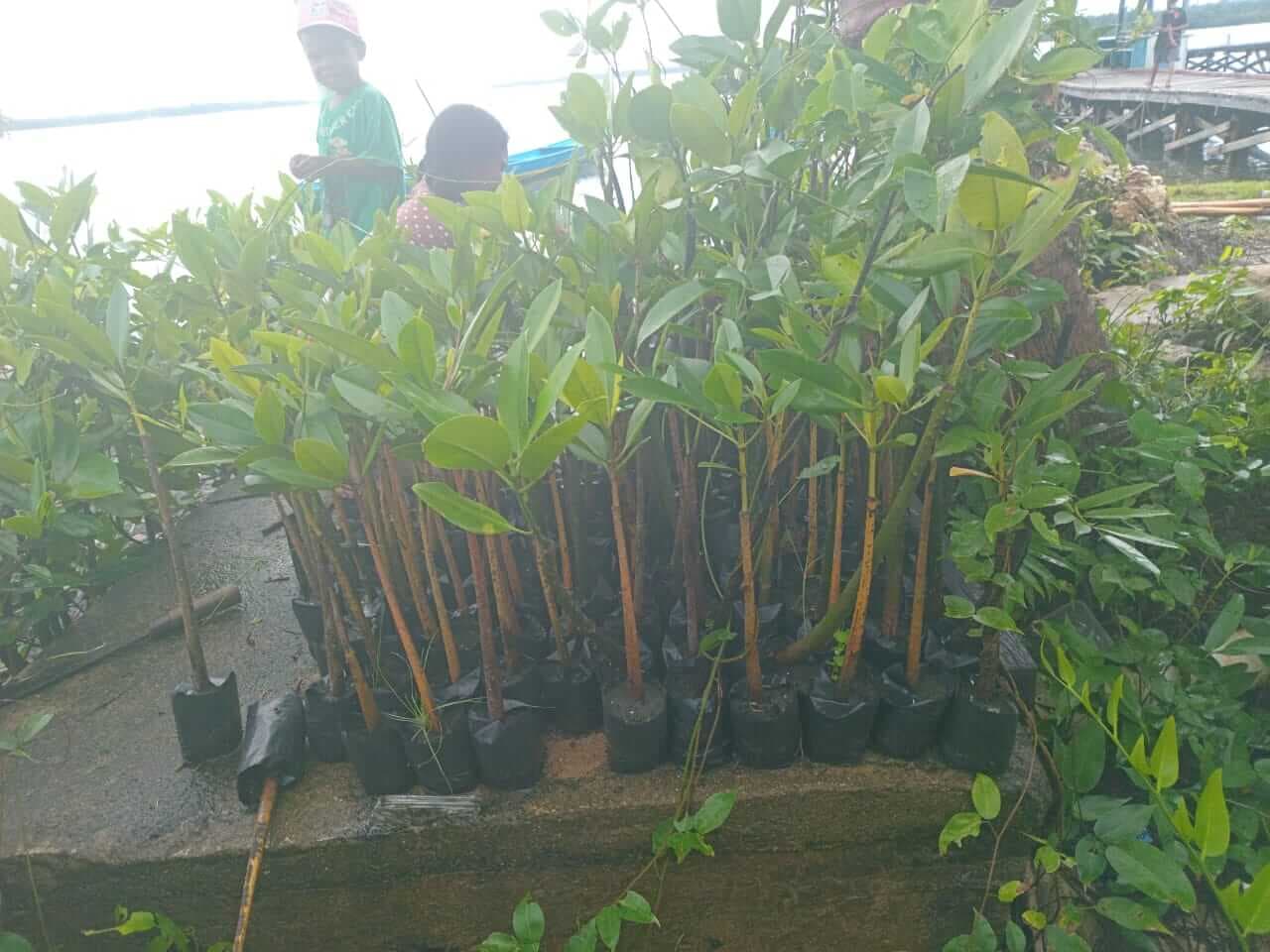 Dokumentasi kegiatan 27