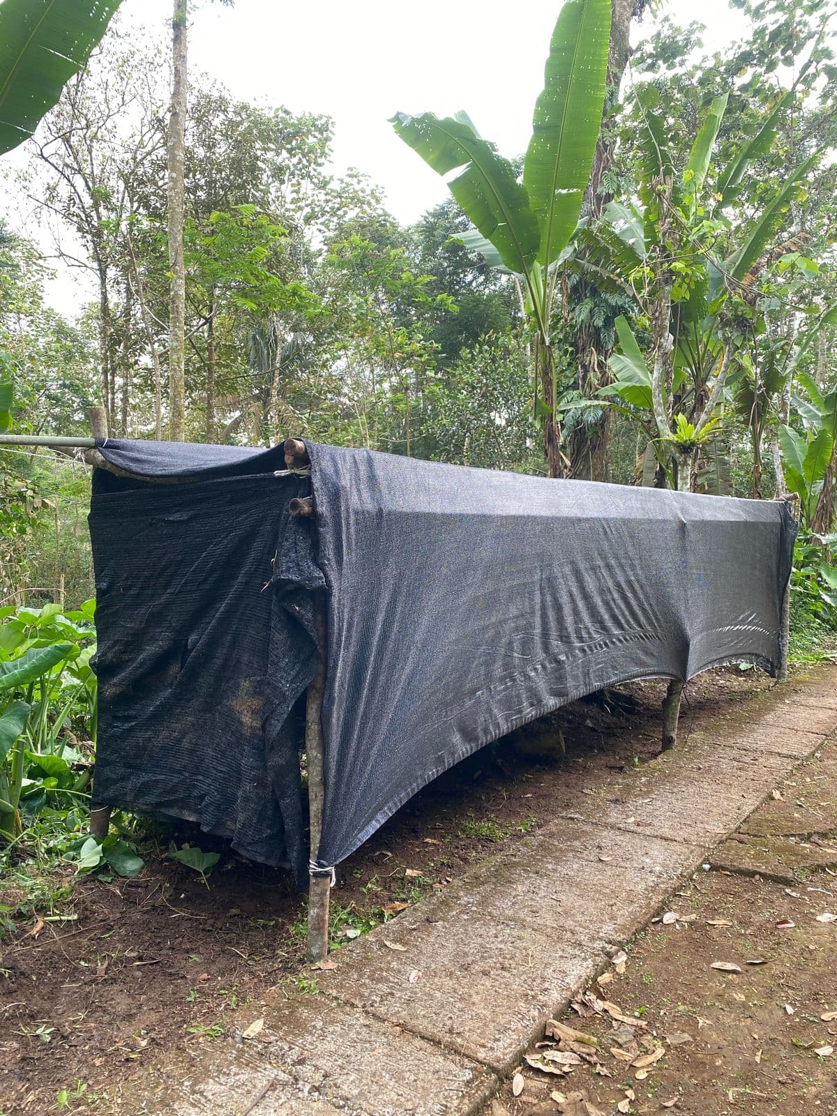 Dokumentasi kegiatan 31