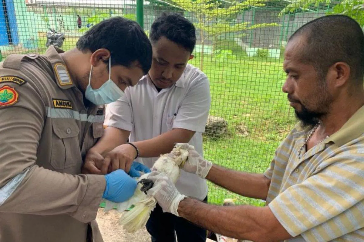 Dokumentasi kegiatan 12