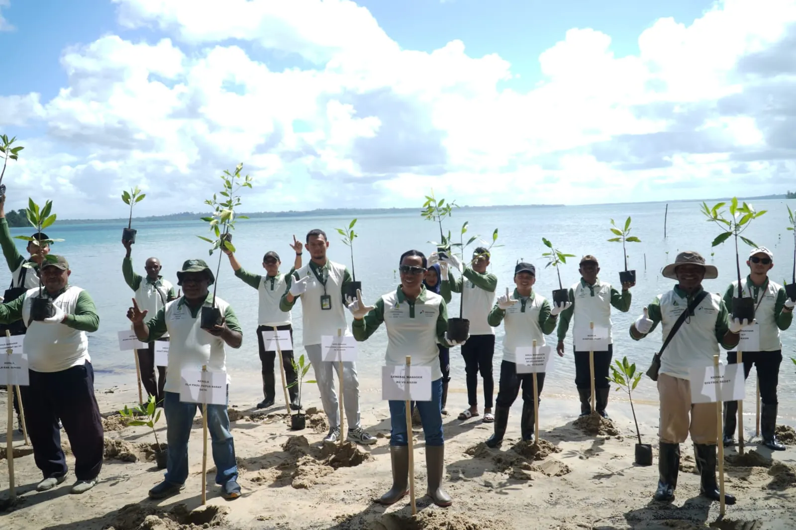 Program Perlindungan Ekosistem Mangrove