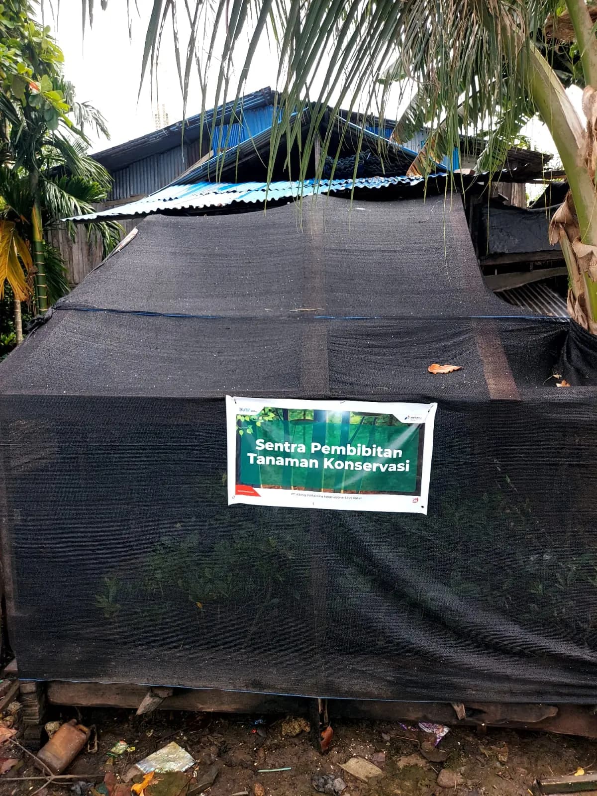Sentra Pembibitan Pohon Konservasi