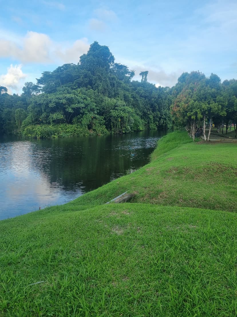 perlindungan-keanekaragaman-hayati-di-area-buffer-zone-dan-telaga-i-nyoman-sukadana